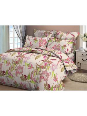 Комплект постельного белья Amore Mio  Akvarel семейный. Цвет: зеленый, коричневый, розовый