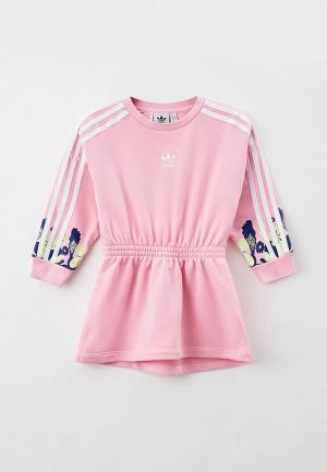 Платье adidas Originals. Цвет: розовый