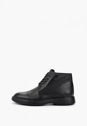 Ботинки Luciano Bellini. Цвет: черный