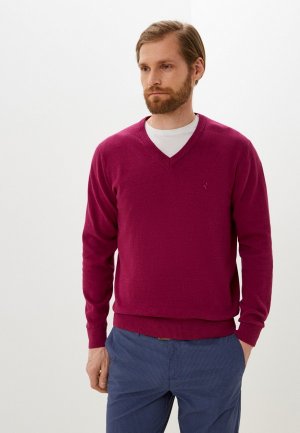 Пуловер Navigare. Цвет: фиолетовый